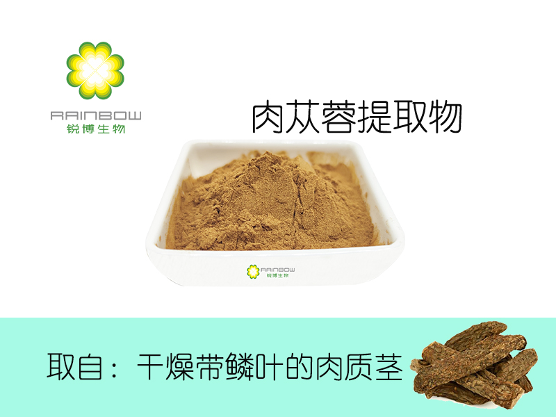 肉蓯蓉提取物