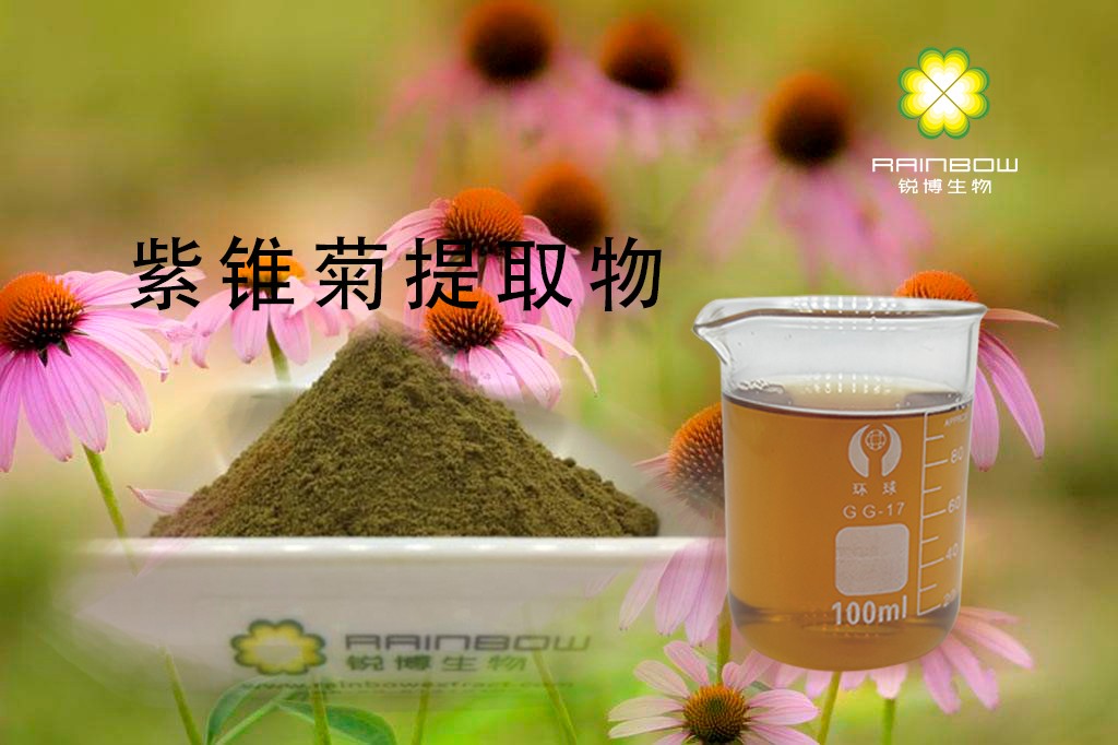 紫錐菊提取物