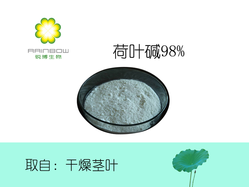 荷葉堿98%