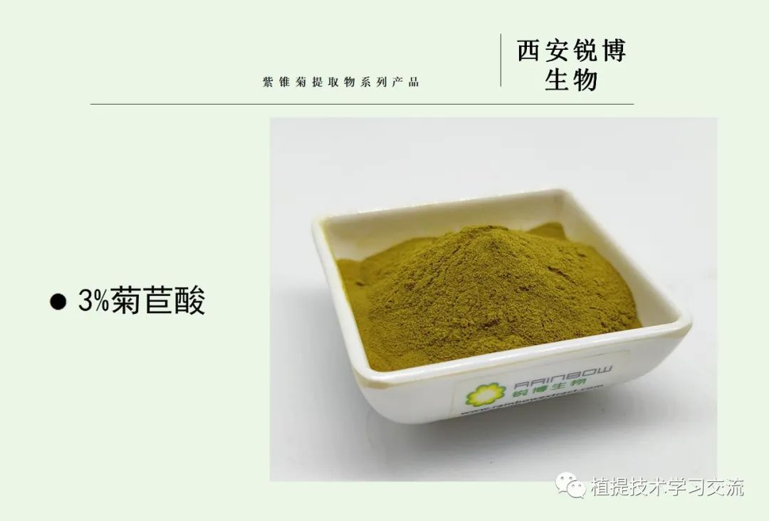 紫錐菊提取物
