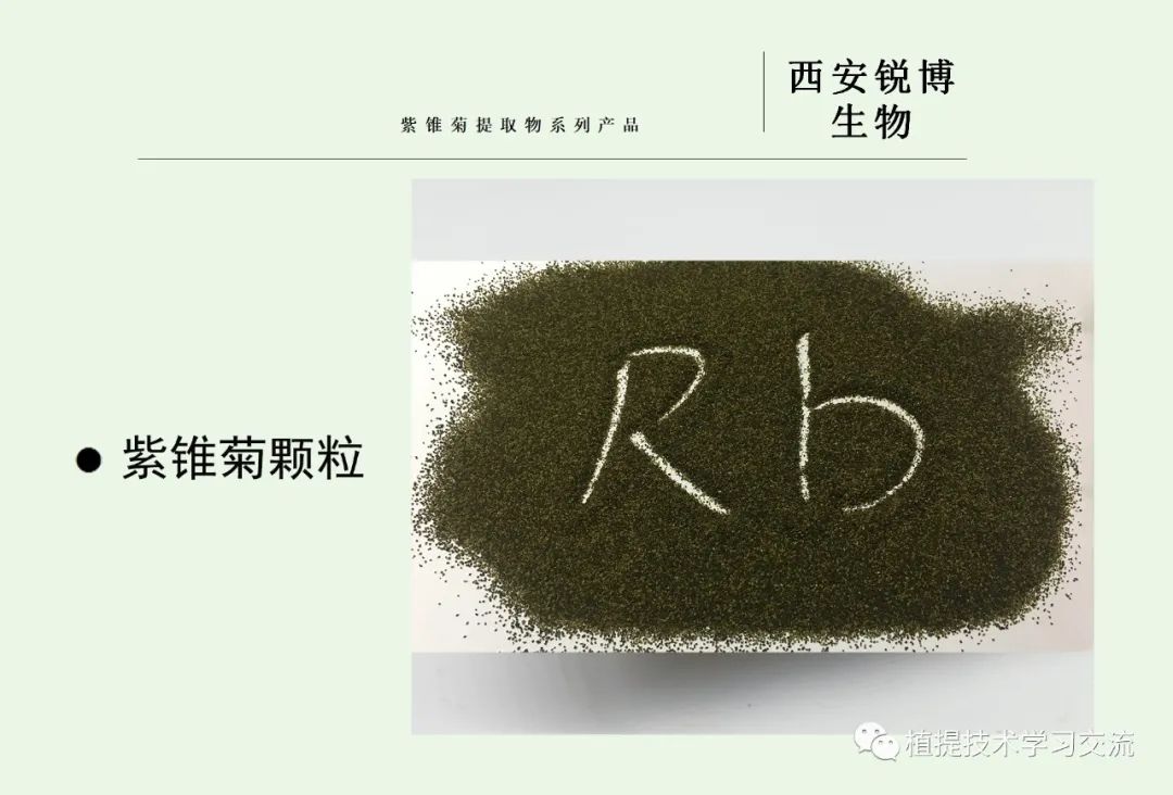 紫錐菊提取物