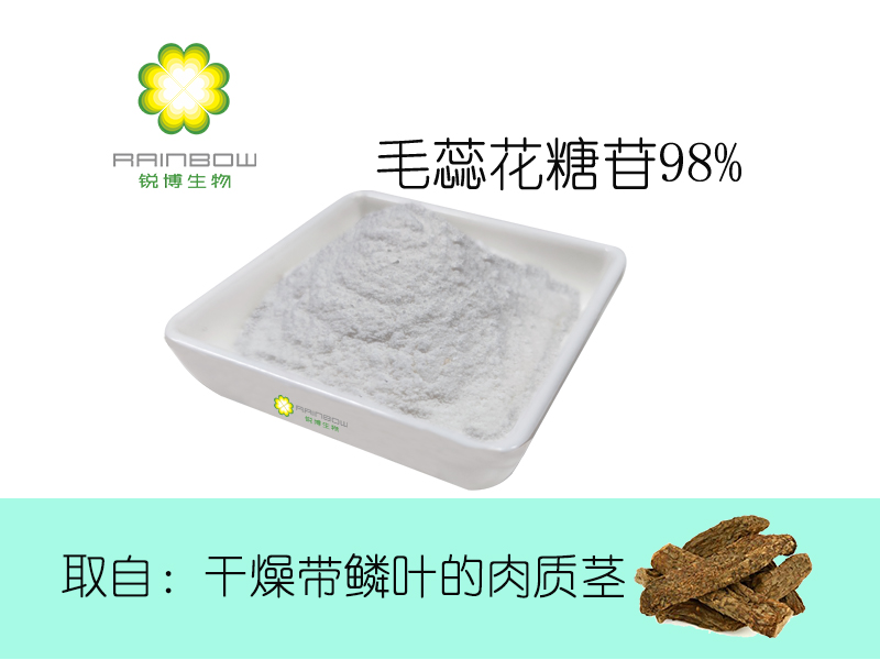 毛蕊花糖苷98%