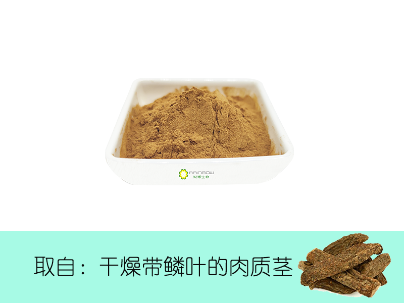 肉蓯蓉提取物