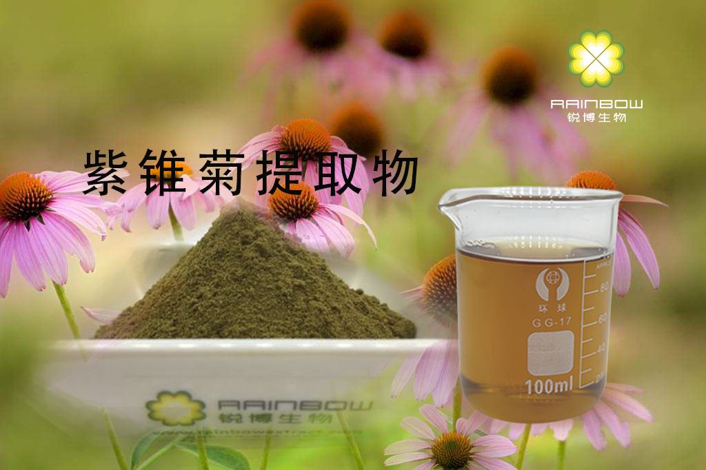 紫錐菊提取物