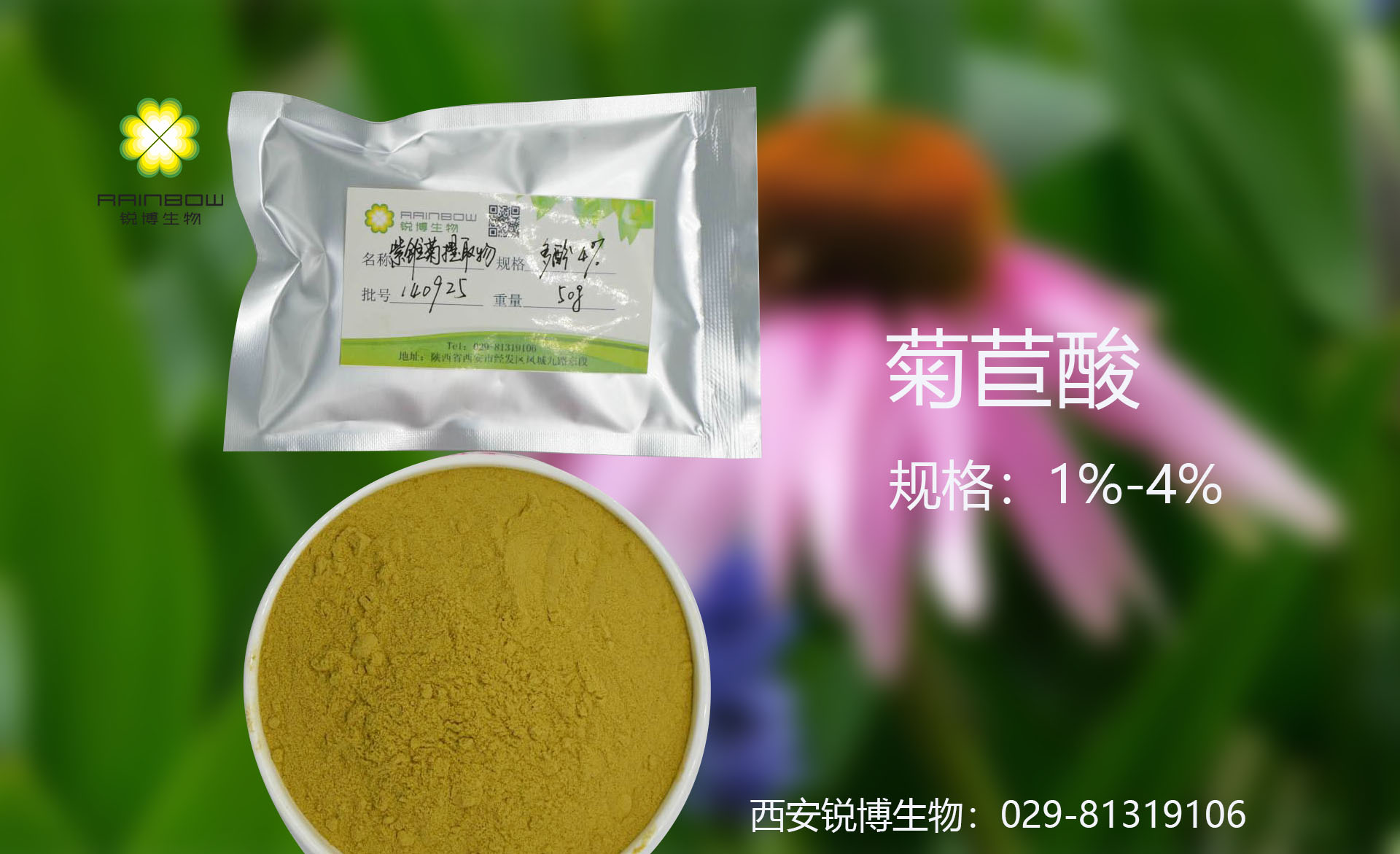 紫錐菊提取物