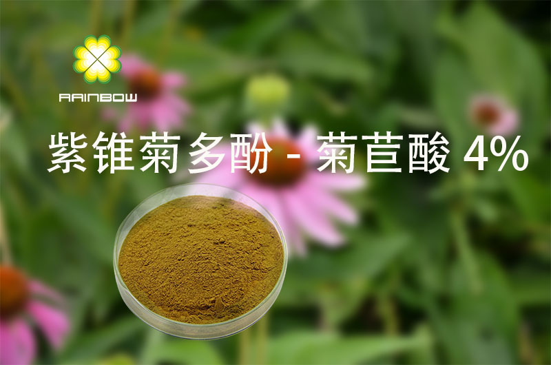 紫錐菊提取物