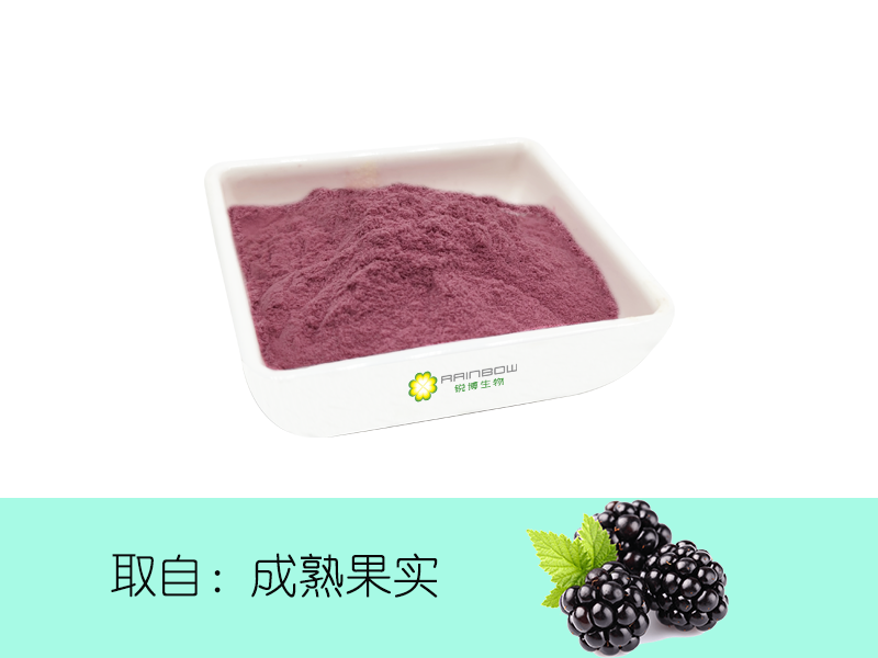 桑葚果粉