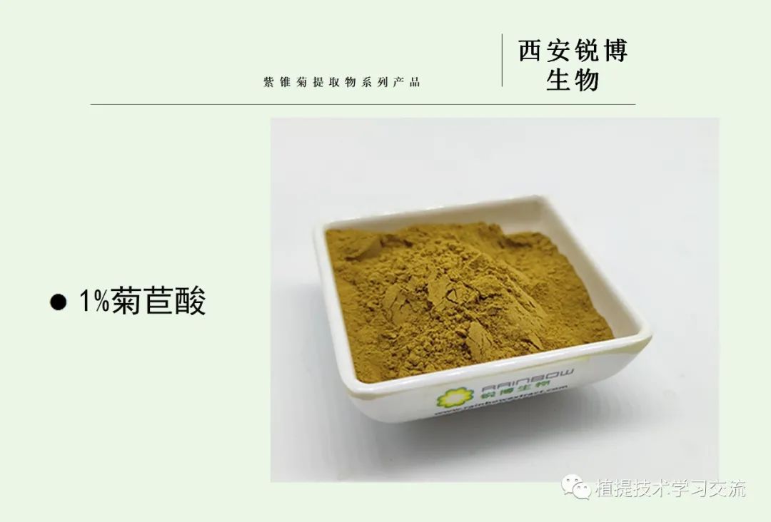 紫錐菊提取物