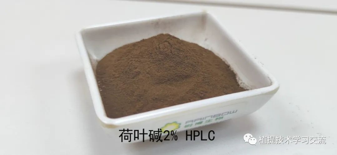 荷葉提取物