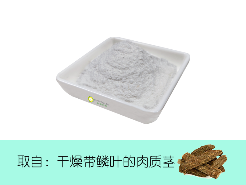 毛蕊花糖苷98%