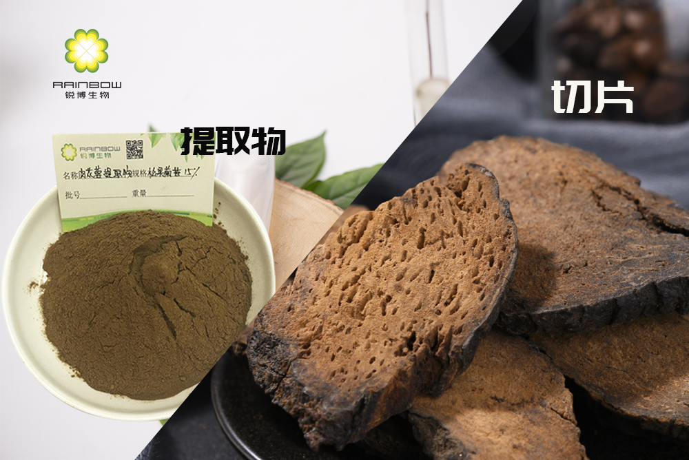 肉蓯蓉提取物