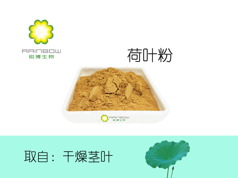 荷葉提取物