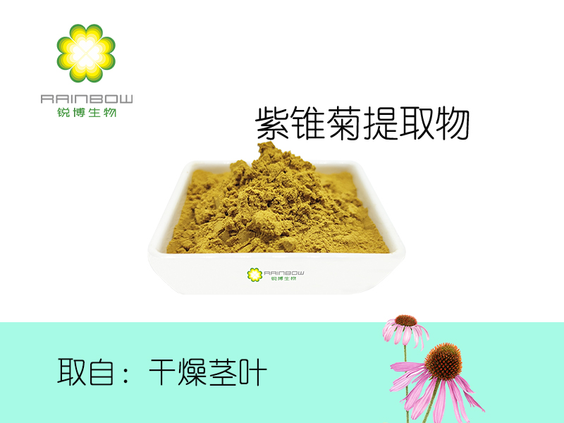 紫錐菊提取物