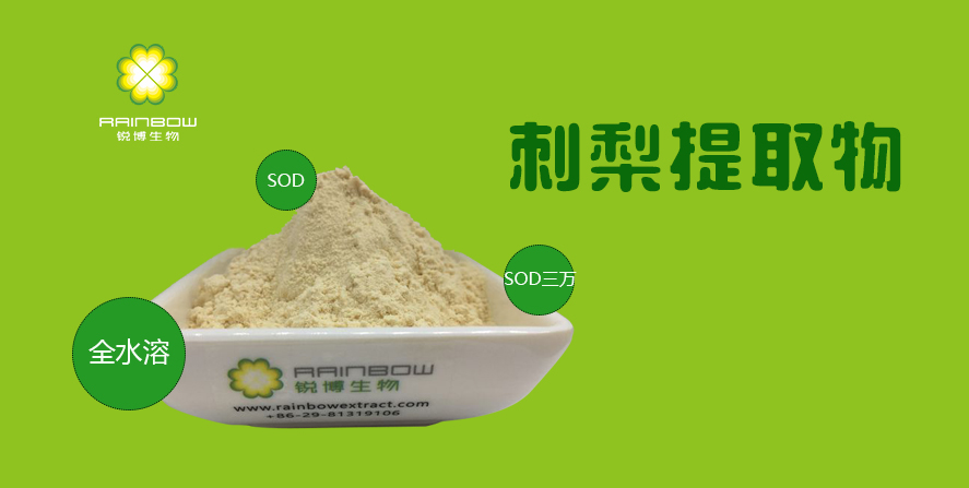刺梨提取物