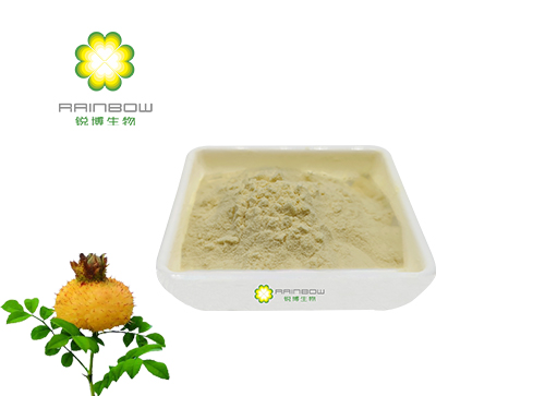 刺梨提取物