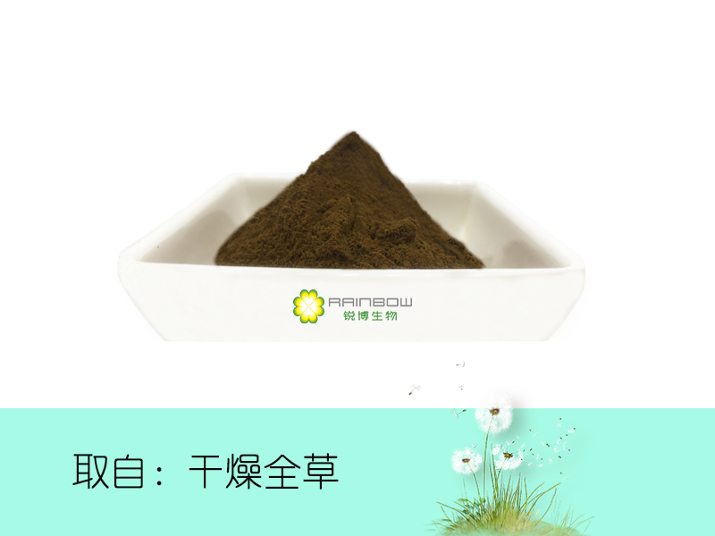 蒲公英提取物