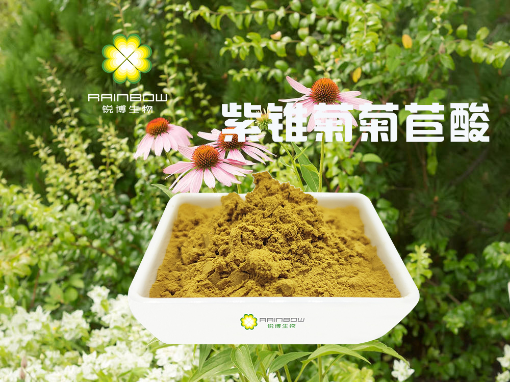 紫錐菊菊苣酸