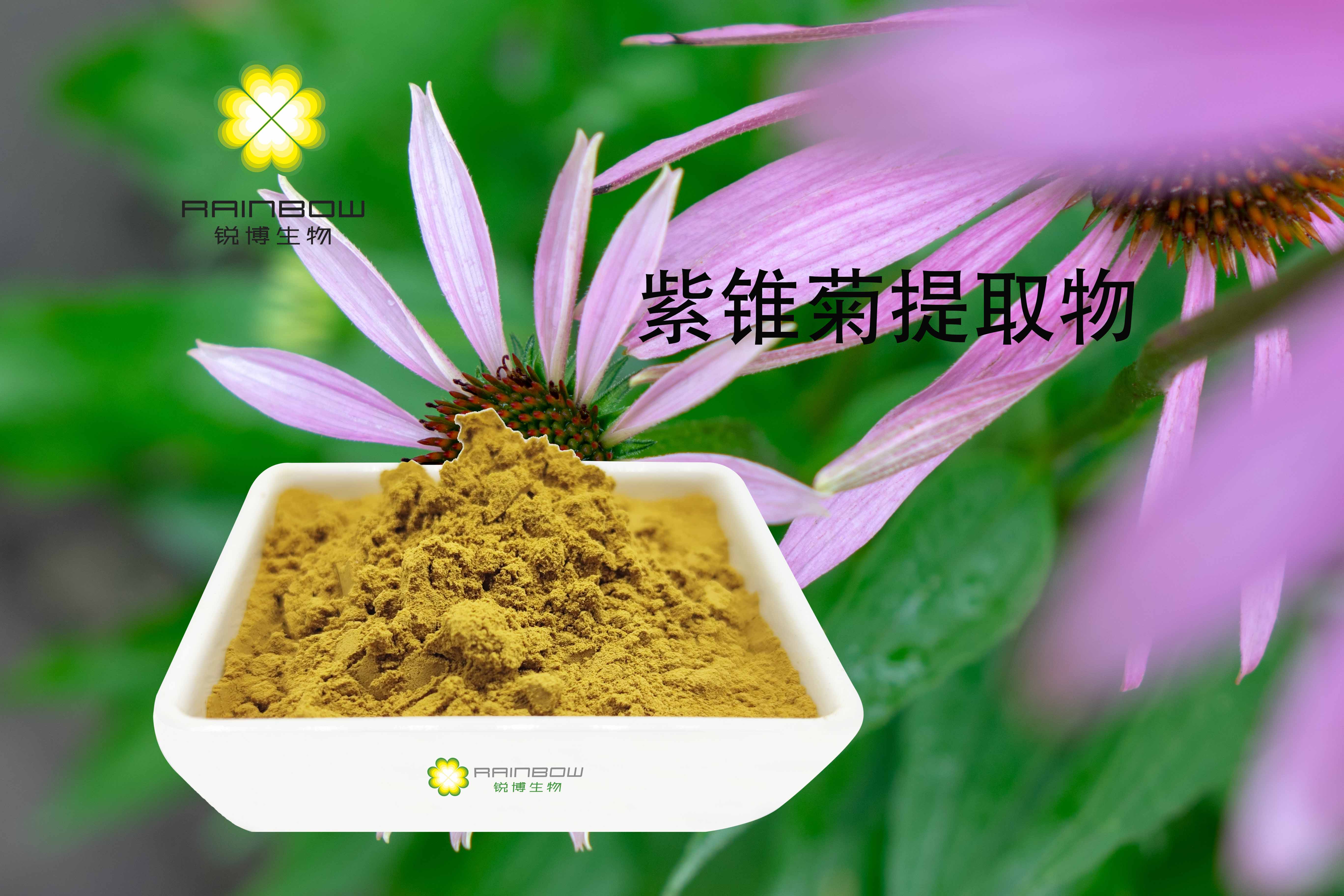 紫錐菊提取物