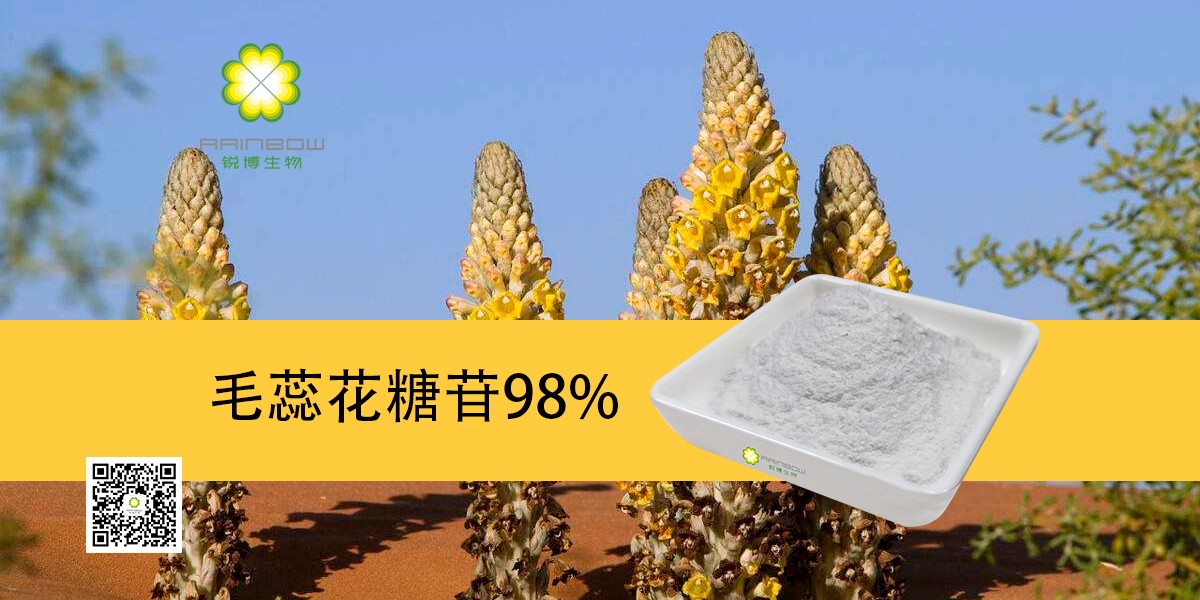 肉蓯蓉提取物