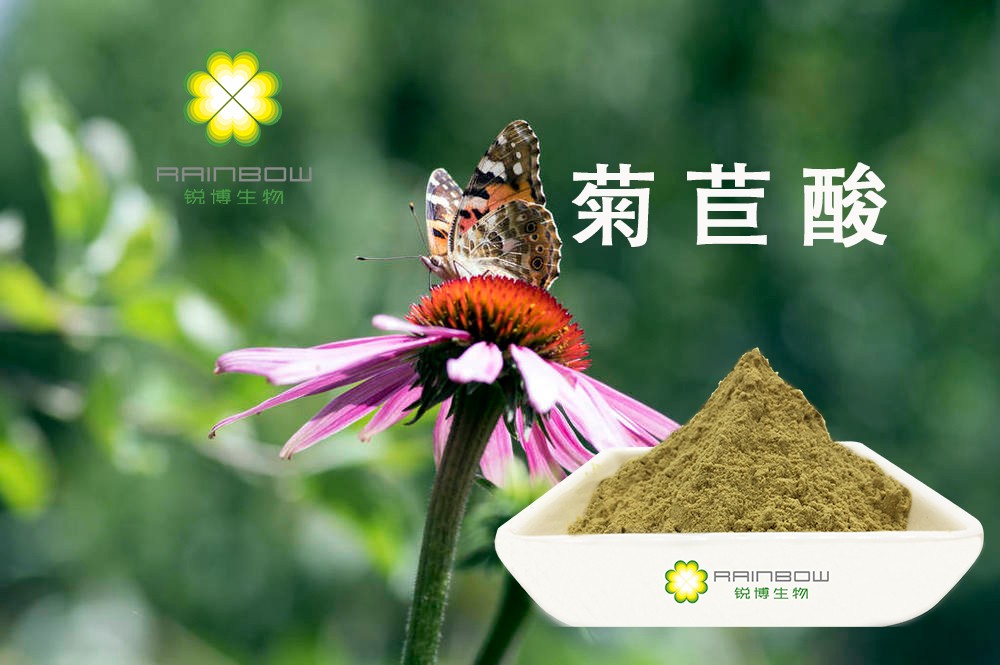紫錐菊提取物