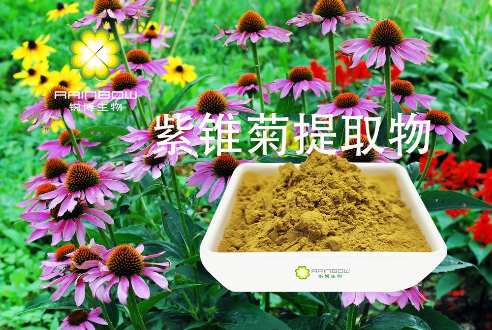 紫錐菊提取物