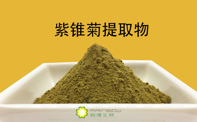 紫錐菊提取物