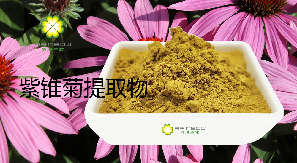 紫錐菊提取物