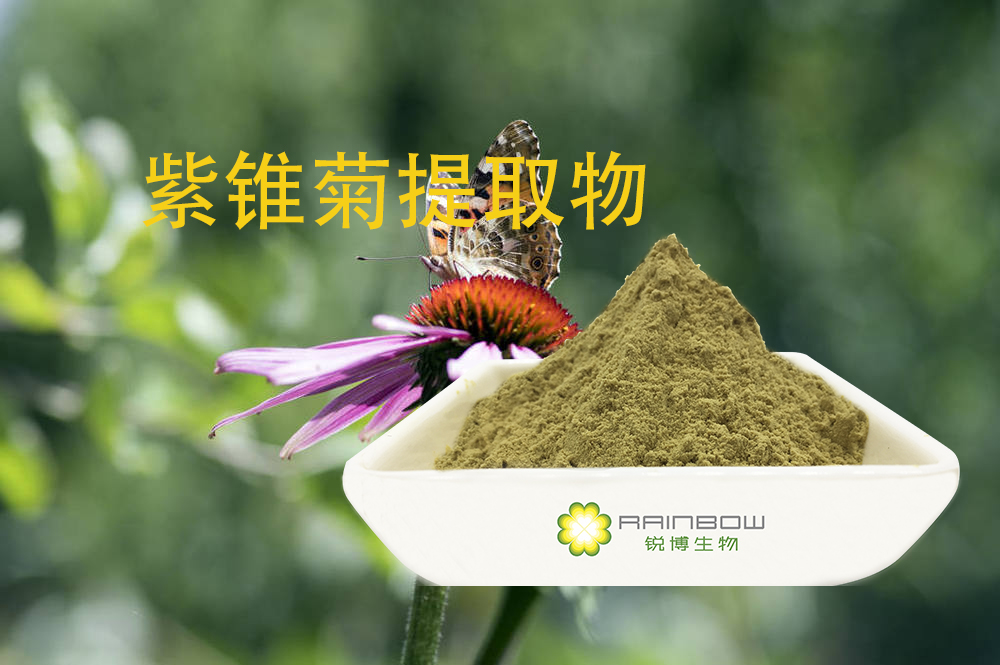 錐菊提取物
