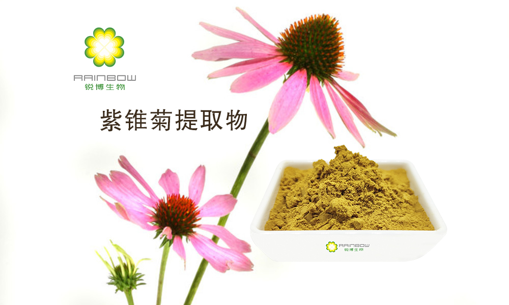 紫錐菊提取物