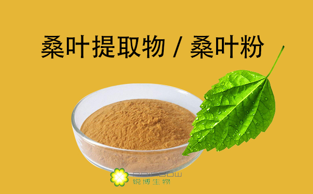 桑葉提取物
