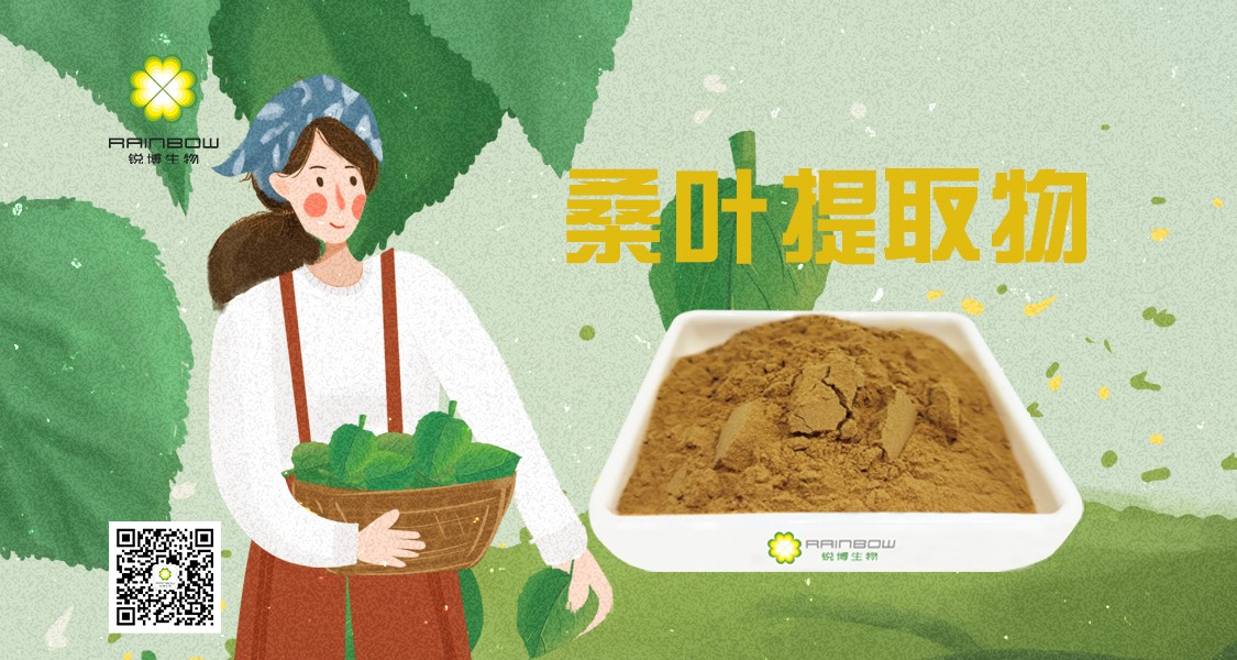 桑葉提取物